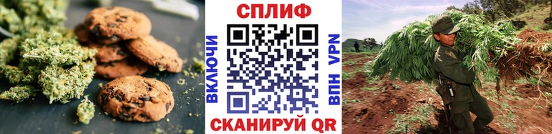 Canna-Cookies конопля  купить наркотики цена  Зуевка 