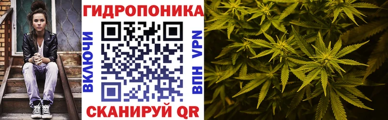 МАРИХУАНА конопля  наркота  гидра как зайти  Зуевка 